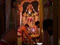 ದಾಸನ ಮಾಡಿಕೋ ಎನ್ನ ಸಾಸಿರ ನಾಮದ ವೆಂಕಟರಮಣ 👏👏👏 sri srinivasa swamy at coimbatore tamil nadu 🙏🙏🙏