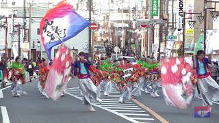 妃龍〔陣屋まつり～よさこい本陣祭～2018　まるひろ通り会場20181103〕