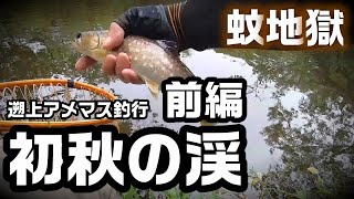 初秋の渓 遡上アメマス釣行 前編【渓流釣り】