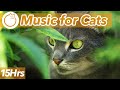 15 HOURS of AD FREE Relaxing Music for Cats 🐱 💤