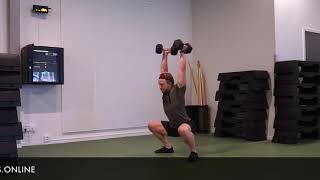 Double Dumbbell Squat Snatch