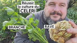 Comment cultiver le CELERI RAVE ou le CELERI BRANCHE 『TUTO』