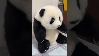 너무 귀여운 판다, 감촉도 너무 좋아요~ 나의 최애 팬더 인형 / It's such a cute panda. The touch feel is so nice too #shorts