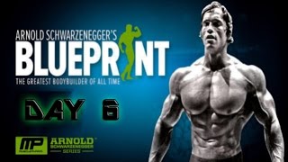 Arnold's Blueprint to Cut Day 6 Delts