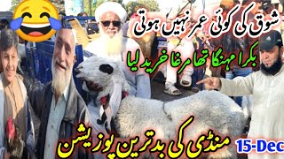 lalukhet Bakra mandi latest update| -15-Dec-2024|❤️😂| shauk ki koi umra Nahin Hoti goat farm visit,