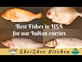 Best Fish in USA for Indian curry (Kulambu) | Which fish is good in USA for our Indian curries?