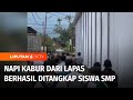 Napi Kabur dari Lapas Berhasil Ditangkap Siswa SMP | Liputan 6