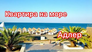 Адлер 2022: Цены квартир продажа сегодня