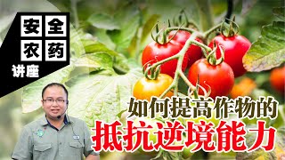 【Baba安全农药讲座】如何提高作物的抵抗压力能力？植物受到压力会 '呐喊' ?！全面了解植物受到压力的因素、抗压方法 | 植物压力