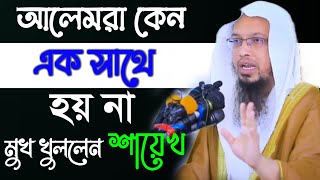 আলেমরা কেন এক সাথে হয় না. নিজেদের মধ্য সমালোচনা কেন মুখ খুললেন Shaykh Ahmadullah।