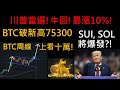 2024/11/6 川普當選! 牛回! 暴漲10%! BTC破新高75300! BTC周線上看十萬! SUI, SOL將爆發?! (建議1.5倍速)