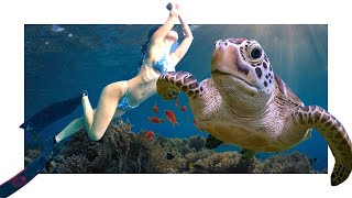Free Diving Into Turtle's Realm at Apo Island, Philippines