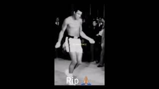 Rip the Legend of Boxing #shorts