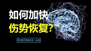 为什么会感觉到疼？探究神经资源与伤口愈合的关系（内含行为策略）