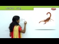 Learn Missing letters in Kannada | Preschool Learning videos | kids learning videos