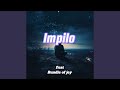 Impilo (Remix)
