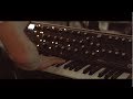 Frogcodile -  Paper House (Live From The Basement) // Track 02/04