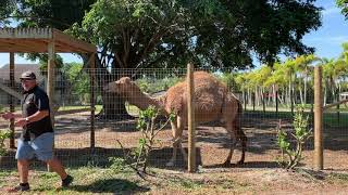 Animal Edventures Park in Boynton Beach, FL