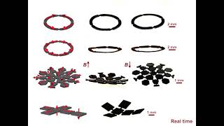 Heat-assisted reprogramming of magnetic soft millirobots