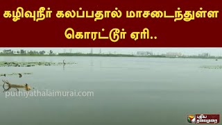 கழிவுநீர் கலப்பதால் மாசடைந்துள்ள கொரட்டூர் ஏரி... | CHENNAI | PTT