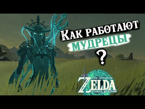 Zelda TOTK: подробные параметры Мудрецов