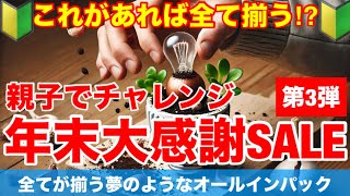 【年末感謝祭SALE③】親子でチャレンジ‼︎コレ1つで全てが揃う夢のようなオールインパック‼︎445【カーメン君】【チューリップ】【球根】【宿根草】