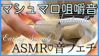 チョコマシュマロを食べる マシュマロ咀嚼音〔ASMR〕〔音フェチ〕〔ささやき有〕