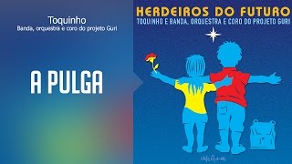 Toquinho - A pulga - (Herdeiros do Futuro) Oficial