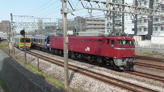 2024年4月16日　GV-E197系 TS01編成とEF81 134が並びました!! 　電気機関車EF81 134 牽引 横須賀線・総武快速線用 E235系 J-33編成  配給列車  JR高崎駅