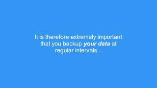 Payroll Manager Backup Guide