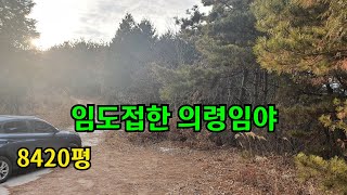 (물건번호-482)의령부동산/임도접하고 접근성 좋은 의령임야(의령임야매매 의령소형임야 )