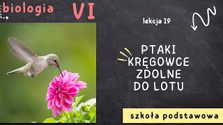 Biologia klasa 6 [Lekcja 19 - Ptaki - kręgowce zdolne do lotu]