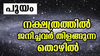 പൂയം നക്ഷത്രത്തിൽ ജനിച്ചവർ തിളങ്ങുന്ന തൊഴിൽ