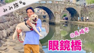 うちの近所の眼鏡橋の方が立派よ？😅 長崎市観光①【みみ旅🐾】Labrador Mimi's first drive to Nagasaki city #187