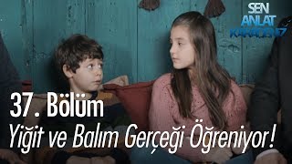 Yiğit ve Balım gerçeği öğreniyor! - Sen Anlat Karadeniz 37. Bölüm