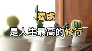 獨處是一種能力，是人生最高的修行 | 享受孤獨，學會和自己相處，學會和內心相處。才是最好的生活姿態【愛學習】