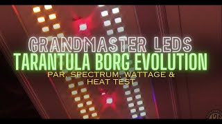 What An Absolute Banger! - Grandmaster LEDs Borg Evolution Par, Spectrum, Wattage \u0026 Heat Test