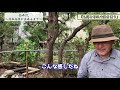 1章 5 日本庭園造り第五回「瓦塀と竹垣で池を囲う」瓦塀・竹垣・光悦垣の作り方【日本庭園ができるまで】