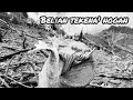 Belian Tekena' Nogan // Lagu Kenyah // versi selo