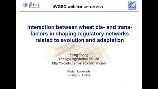 Interaction between wheat cis  and trans factors in shaping regulatory networks