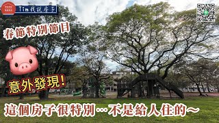 回屏東過年意外發現～這間特別的房子！不是給人居住的...〔聽我說房子〕