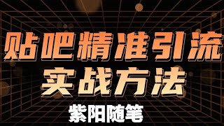 创业粉捷径引流术，2024年贴吧精准引流术5.0，高效率引流实战方法