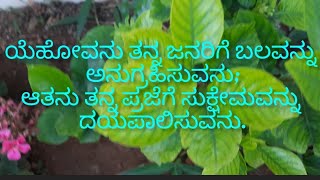 Psalms 29  |ಮೇಘಮಂಡಲದಲ್ಲಿ ಕಾಣಿಸುವ ಯೆಹೋವನ ಮಹಿಮೆದಾವೀದನ ಕೀರ್ತನೆ.|@Holy bible ಸತ್ಯವೇದವು |