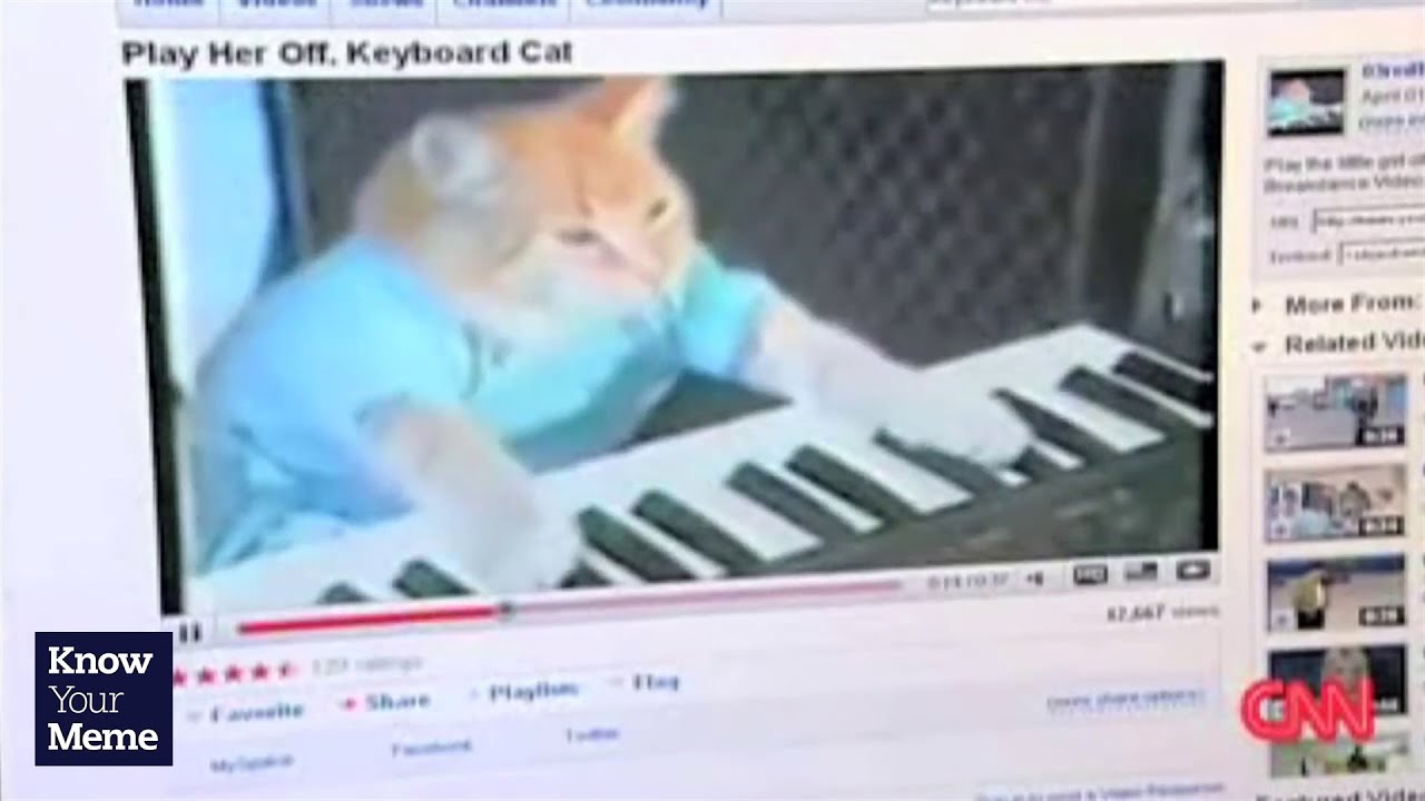 Stop Keyboard Cat Meme