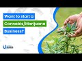 How to Start a Cannabis Business in Thailand? Thailand's Legal Cannabis Industry #cannabisbusiness