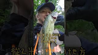 被操過的鱸就是不一樣 #fishing #lure #釣魚 #大嘴黑鱸 #鱸魚 #shimano #osp #釣り #野池 #낚시 #いいサイズ