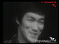 nido del cuculo intervista a bruce lee parte 2