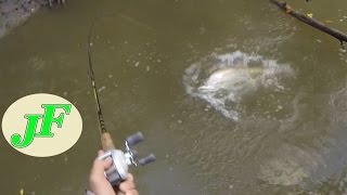 Big Barramundi fishing in Tight Barra Creek Just the Fish EP.262b