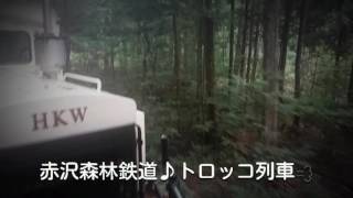 赤沢森林鉄道♪トロッコ列車S