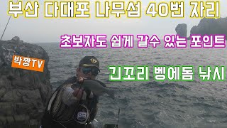 부산 다대포 나무섬 40번 포인트/긴꼬리벵에돔 낚시 fishing